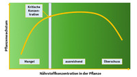 Beziehung zwischen der Nährstoffkonzentration in der Pflanze und dem relativen Wachstum  - © Dr. Frank Lorenz