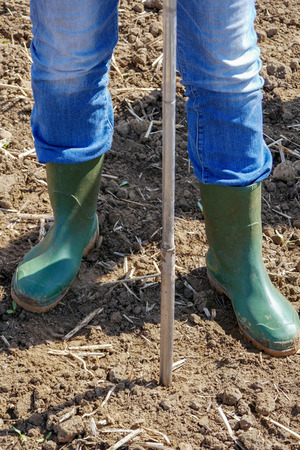 Bodenprobenahme für die Grunduntersuchung - © Dr. Frank Lorenz