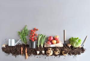 Untersuchung von Pflanzen und Ernteprodukten auf Schadstoffe - © shutterstock/Photobliss