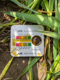 Das Hellige pH-Meter zeigt einen für Lehmboden optimalen pH-Wert um 6,5 an - © Dr. Frank Lorenz