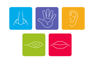sensorische Begutachtung - Zusammenspiel der 5 Sinne - © MicroOne / Adobe Stock