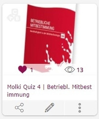 Molki Quiz | Betriebliche Mitbestimmung - © Pia Wachenfeld