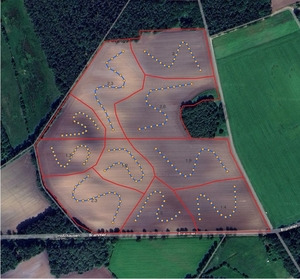 Teilflächen für die Bodenprobenahme (Hintergrundbild: Google Earth Pro) - © Dr. Frank Lorenz