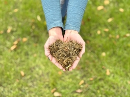 Grassilage - © Laura Theresa Draack