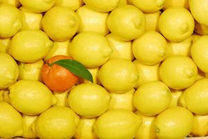 einzelne Mandarine zwischen Zitronen - © Wolfgang Jargstorff / Adobe Stock